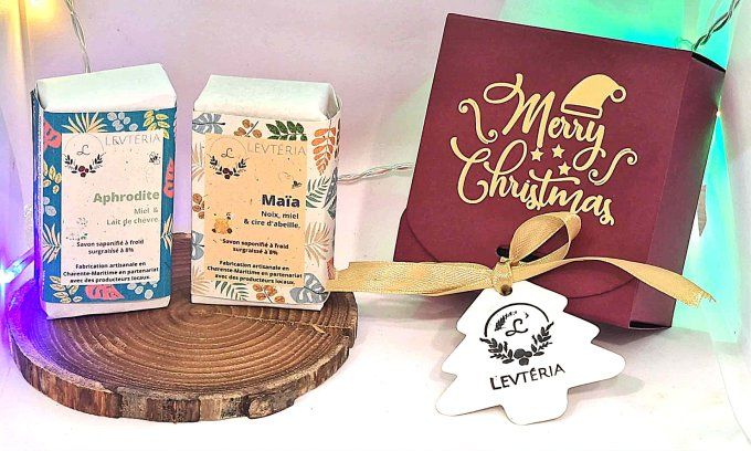 Le mini coffret de Noël